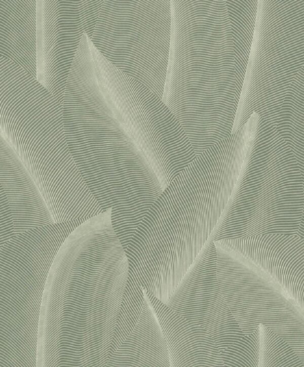 Allure - AL26221