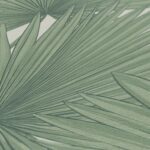 Caraibi - CR22251