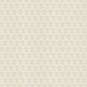Roberto Cavalli VOL.9 - RC21033