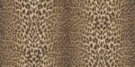 Roberto Cavalli VOL.9 - RC21041
