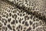 Roberto Cavalli VOL.9 - RC21041