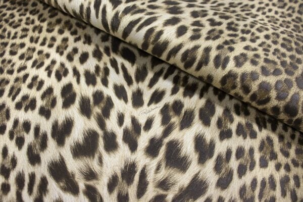 Roberto Cavalli VOL.9 - RC21041