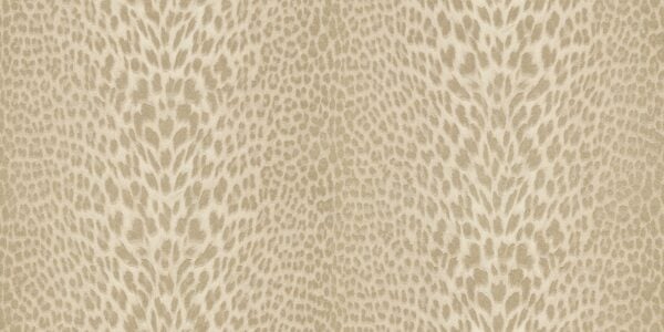 Roberto Cavalli VOL.9 - RC21043