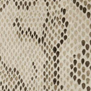 Valpaint Jungle Pitone